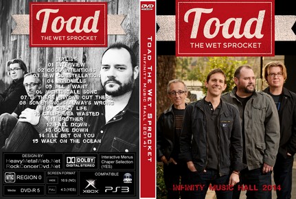 Toad The Wet Sprocket - Infinity Music Hall 2014.jpg